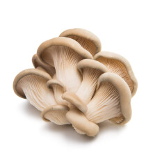 Oyster Mushroom 5 kg -/+10%