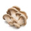 Oyster Mushroom 5 kg -/+10% 1