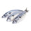Mackerel Box 100kg 1