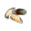 Frozen Half Shell Green Lipped Mussels (Medium) 800g x 12 Packs 1