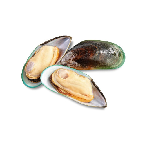Frozen Half Shell Green Lipped Mussels (Medium) 800g x 12 Packs