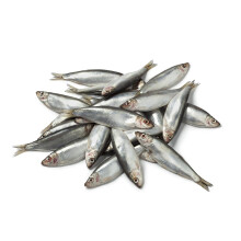 Frozen Whole Whitebait 454g x 20 Packs