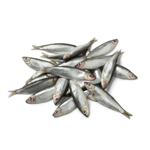 Frozen Whole Whitebait 454g x 20 Packs