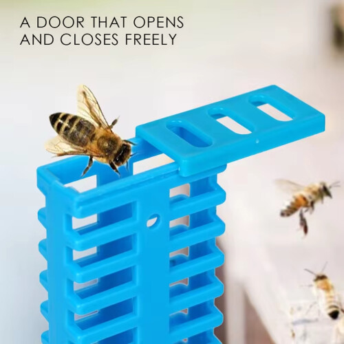 type Push-Pull Queen Bee Escape Box Raising Equip 2