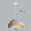 Creative Personalized Chandelier 30CM Indoor Ceiling Light E27 Retro Pendant Light Modern Grey Pendant Lights 5