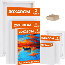 Koncci Stretched Canvas for Painting, 10 Packs Multiple Sizes Canvases Set, 10x1
