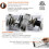 SHARPAL 198H Electric Knife Sharpener 3 Stage Professional Knife Sharpening Syst 3