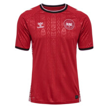 (S) 2024-2025 Greenland Home Shirt