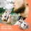 5 Pcs Replacement Coil Heads for Sub Z2 Z1 Mesh Coils 0.4 Ohm 6