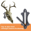 Mount Skull Hanger Europese Botbeugel Trofee Mounts 5
