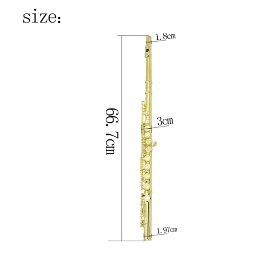 16 Closed Holes Flute Silver 2
