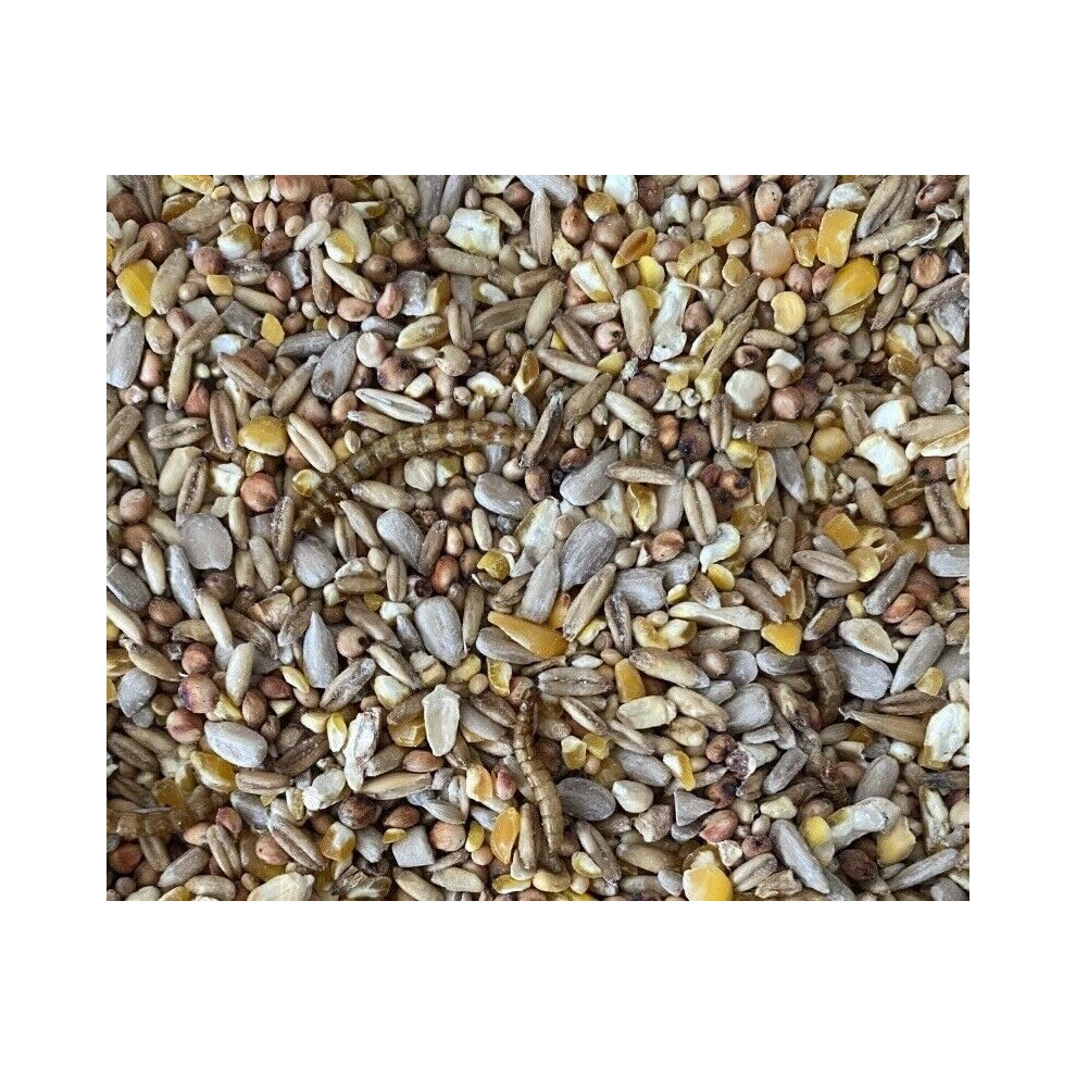 Willow Park Seeds Robin & Songbird Seed Mix Wild Bird Food 20kg