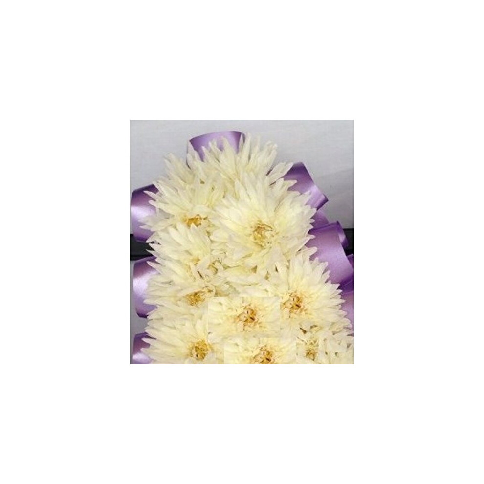 Floral Supplies 144 Artificial Cream Chrysanthemum Picks Florist Funeral Tribute Flowers