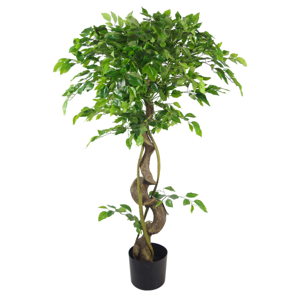 B&Q -  Faux Twisted Trunk Japanese Fruticosa Style Ficus Tree 120Cm - Image 6