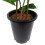 Leaf Leaf Design UK Realistic Artificial Flower Plant Tree 5