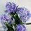 Leaf Leaf Design UK Realistic Artificial Flower Plant Tree 2