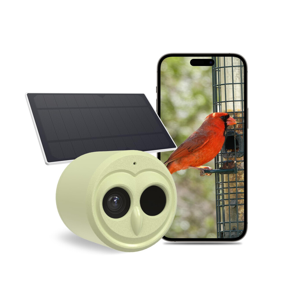 Photos - Other Photo Accessory 5G Bird Watching Camera, Hibird Smart AI Identify and Auto Capture 10000+ Bird Species IP66 Mini Wireless Watching Camera wi