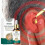(3pcs)Tinnitus Treatment Tinnitus Ear Drops 20ml Tw 5