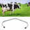 Adjustable Cattle Anti Kicking Stick AntiKick Off 11