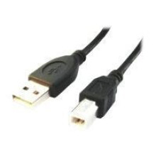 Gembird CCP-USB2-AMBM-6 USB cable 1.82 m USB A USB B Black