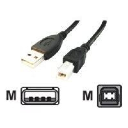 Gembird CCP-USB2-AMBM-10 USB cable 3.04 m USB A USB B Black