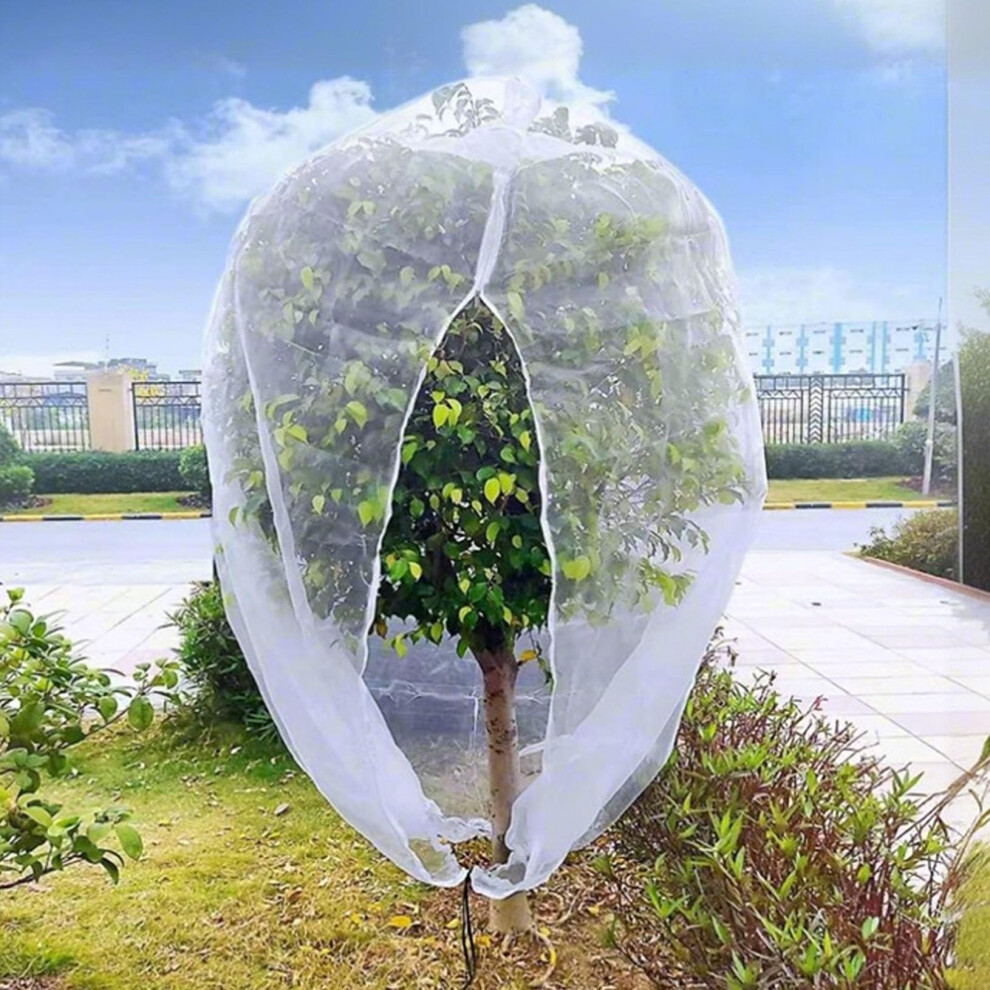 Schutznetz fÃ¼r Pflanzen 2 StÃ¼ck, 300x300CM Ultrafeines Wiederverwendbares Netz fÃ¼r ObstbÃ¤ume, StrÃ¤ucher, Tomaten, KÃ¤fer Schutz-image-OPC-PJQG7ZF-NEW