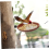 Wall Mounted Bird Feeder Farm Hanging Bath Container 3