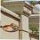 Wall Mounted Bird Feeder Farm Hanging Bath Container 2