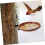 Wall Mounted Bird Feeder Farm Hanging Bath Container 6