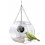 Bird Feeder with Camera WiFi Remote Connection to Mobile Phone 1
