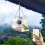 Bird Feeder with Camera WiFi Remote Connection to Mobile Phone 2