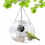 Bird Feeder with Camera WiFi Remote Connection to Mobile Phone 5