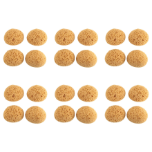 24Pcs Texture Sponge Drywall Patch for Repair DIY Painting Ceiling (12 x 9 7cm)