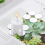 Mini Size Acrylic Round Mirror (100PCS, 1 Inch) 6