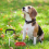 Dog Tie Out Cable and Stake, 16 Ft Outside Leash Chain 6