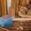 60-200 Grit Sanding Sponge Block Set Wet Dry, Blocks 3