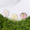Golfballmarker Hutclip Putting Alignment Cap Clips Pink 2