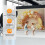 Photography Backdrop Cloth Live Broadcasts Props A 3