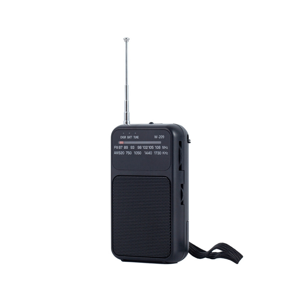 Antenna Radio With 3.5Mm Headphone Jack, Black 4853080240776
