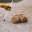 Camping Tools Storage Bag Cylinder Tent Stake 8