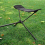 Footstool for Outdoor Camping BBQ Beach Folding Footrest 8