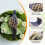 1PC Hunting Scare Pigeon Decoy Accessory 8