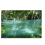 Breed Fishing Nets Cage Mesh Stake Net Small Grid Catch Fish Box 4