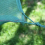 Breed Fishing Nets Cage Mesh Stake Net Small Grid Catch Fish Box 9