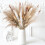 85PcsPampas Gras Dekorative Vase Home Design Arrangements 8