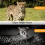-801A 4K UHD 36MP 4G LTE Night Vision Motion Trail Camera 4