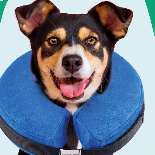 Protective Inflatable Collar for Dogs and Cats Blue M 2