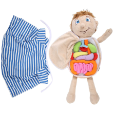 Kids Assembled Plush Body Organs Toy Human Anatomy Doll Science Teaching Aids Tool Educational Toys