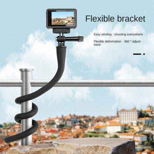 Action Camera Mount 2