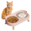 Elevated Cat Bowl
Whisker Fatigue 9